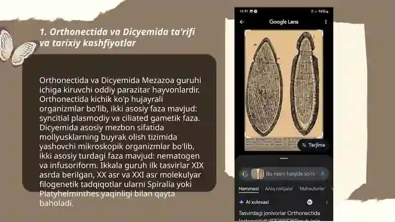 Mezazoa orthonectida va Dicyemida 3