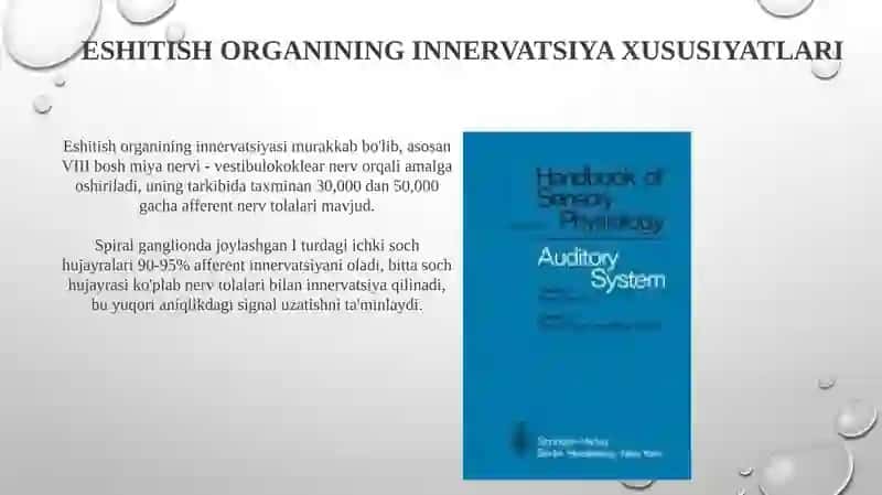 Eshitish organining innervatsiya xususiyatlari 3