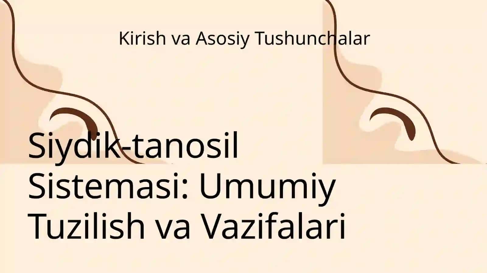 Siydik-tanosil a'zolari sistemasi 3