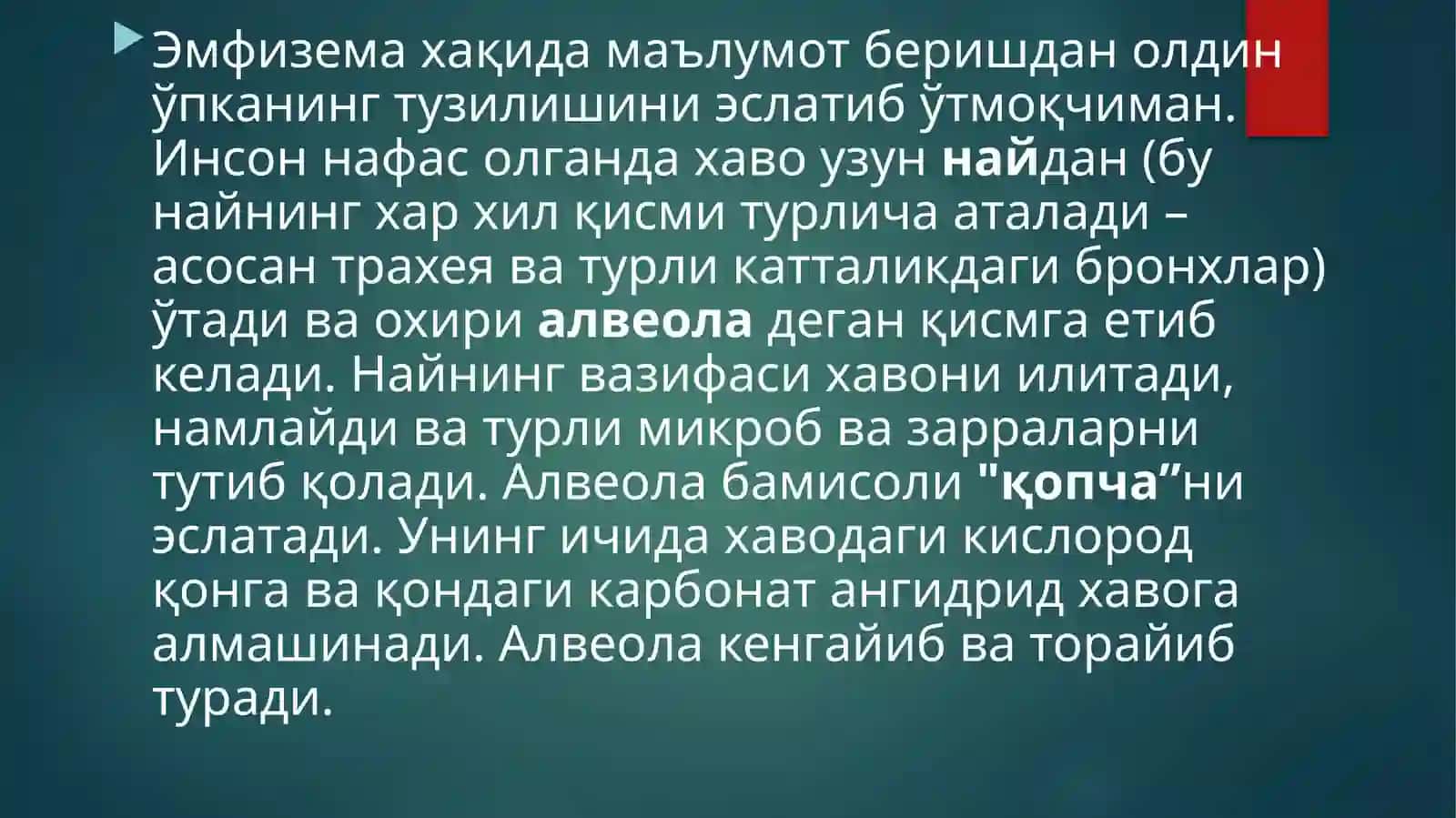 Ўпка эмфиземаси (o'ka emfuzemasi) 3
