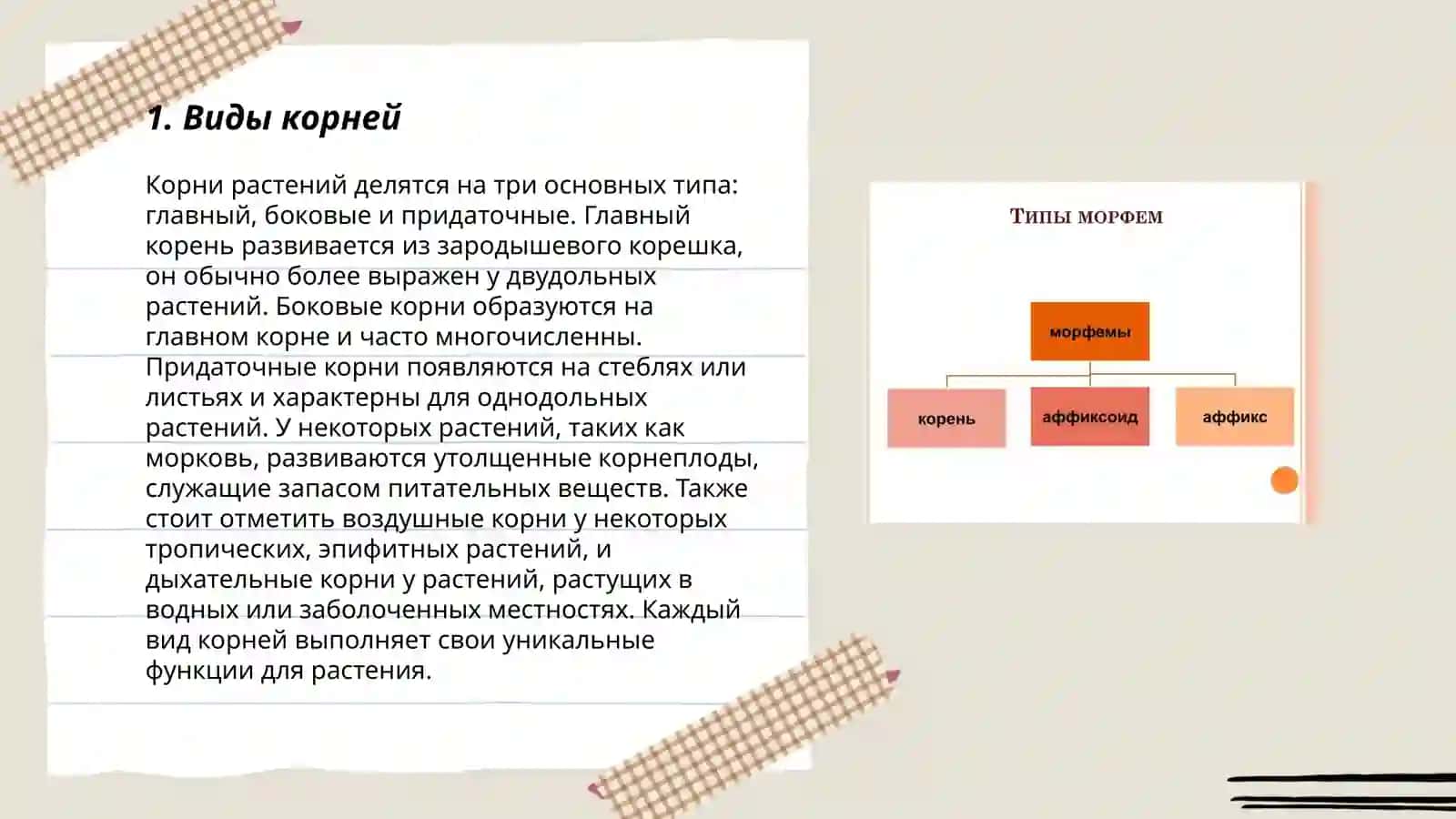 Виды и функции морфем 3