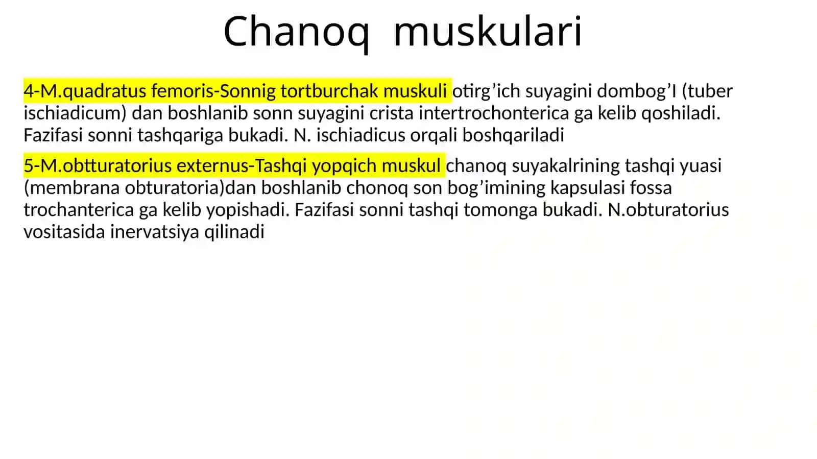 Chanoq muskulari 3