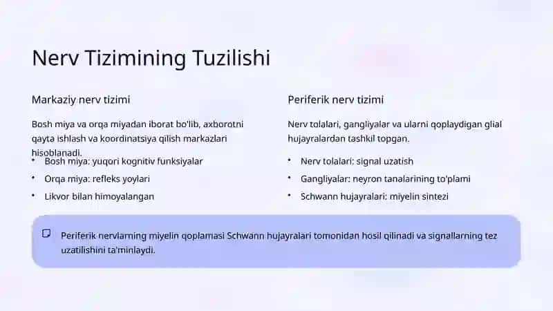 Periferik Shishlarning Paydo Bo'lish Mexanizmlari 3