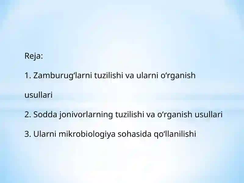 Zamburugʻlar va soddajonivorlar 3