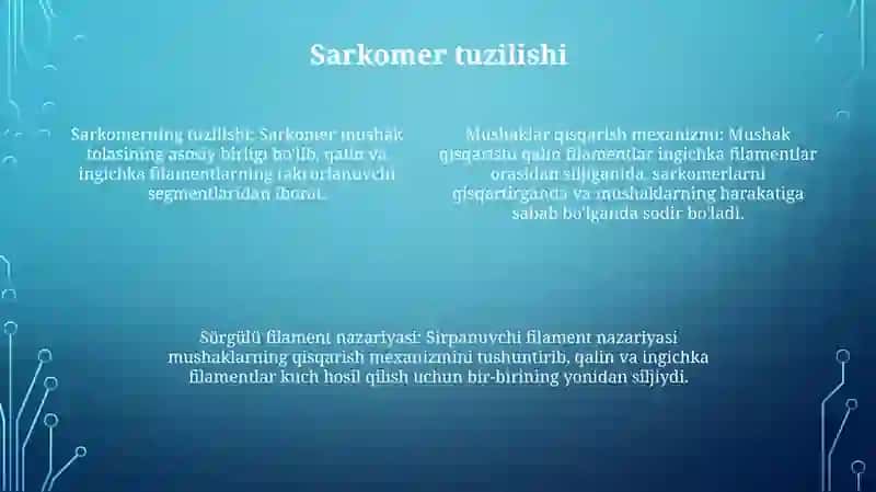 Mushak Qisqarish Mexanizmining Morfologik Asoslari 3