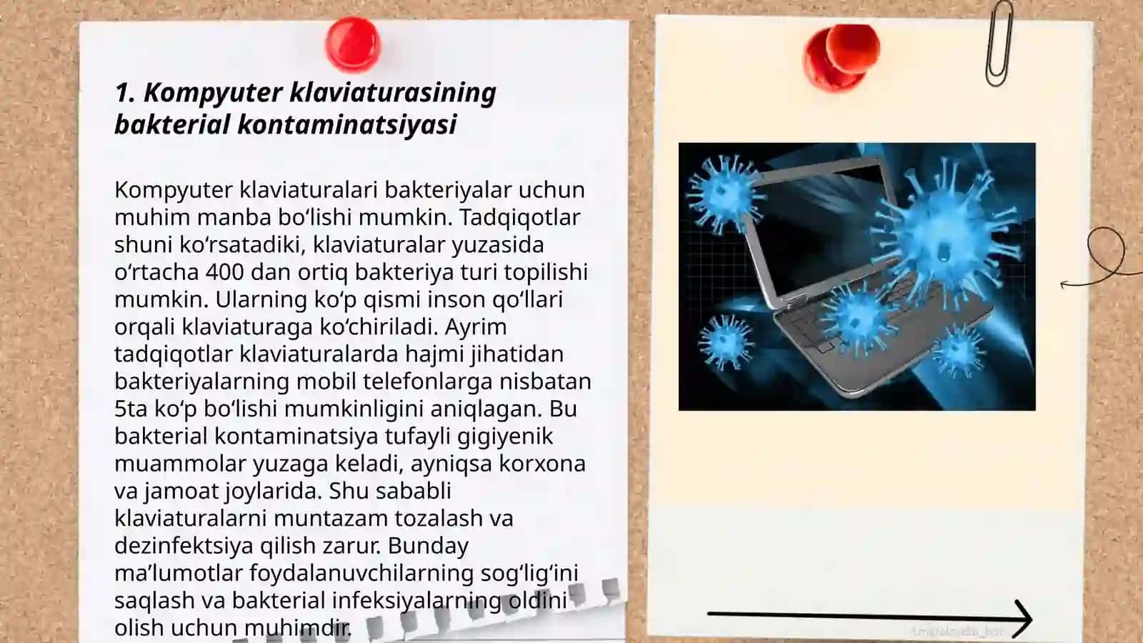 Kompyuter va telefonlarning bakterial kontaminatsiyasi 3