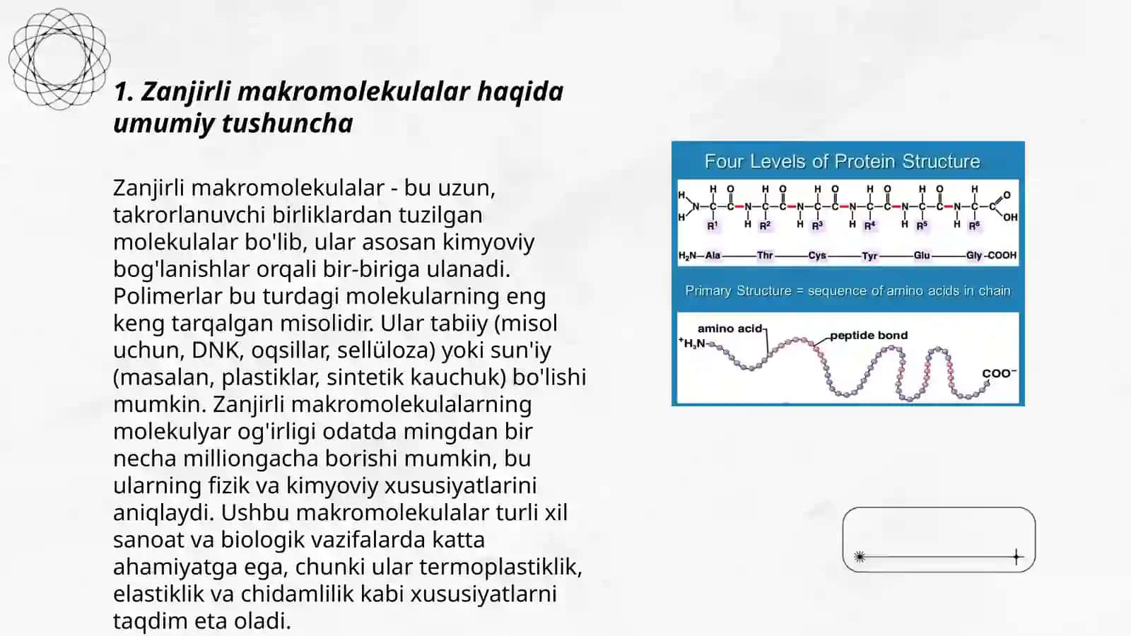 Zanjirli makromolekulalar 3