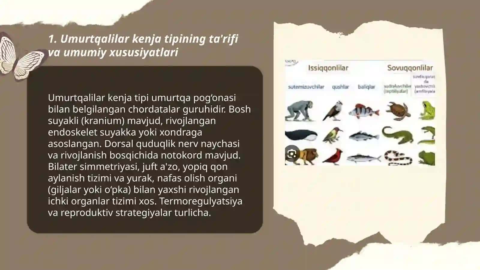 Umurtqalilar kenja tipi 3