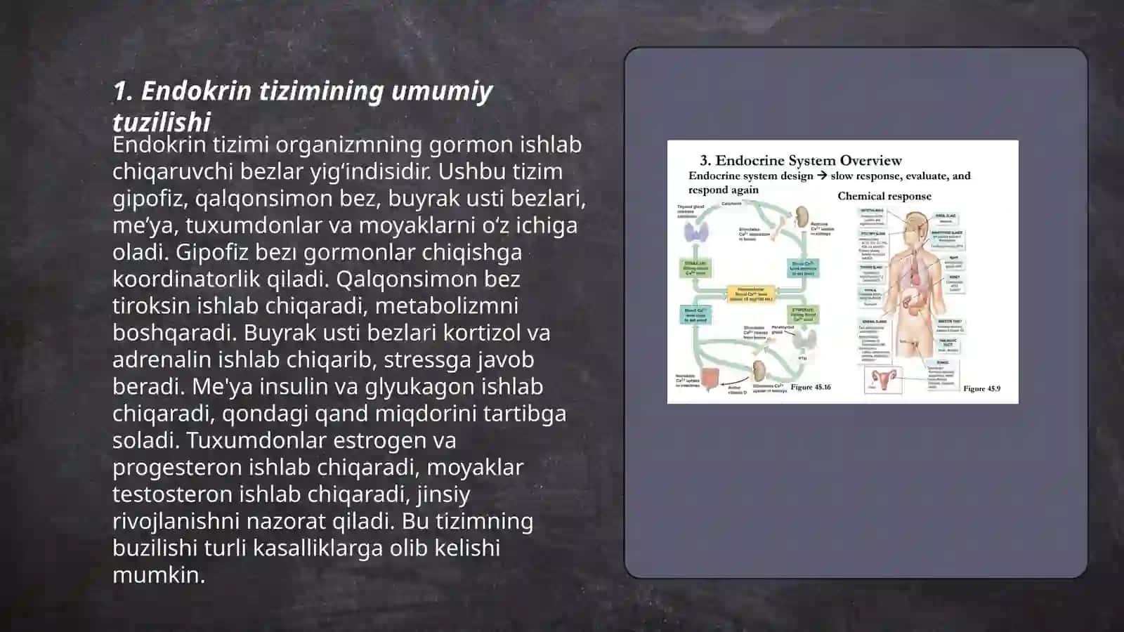 Endokrin tizim biokimyosi 3