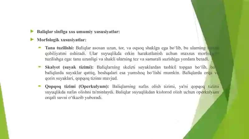 Baliqlar haqida umumiy tushuncha 3