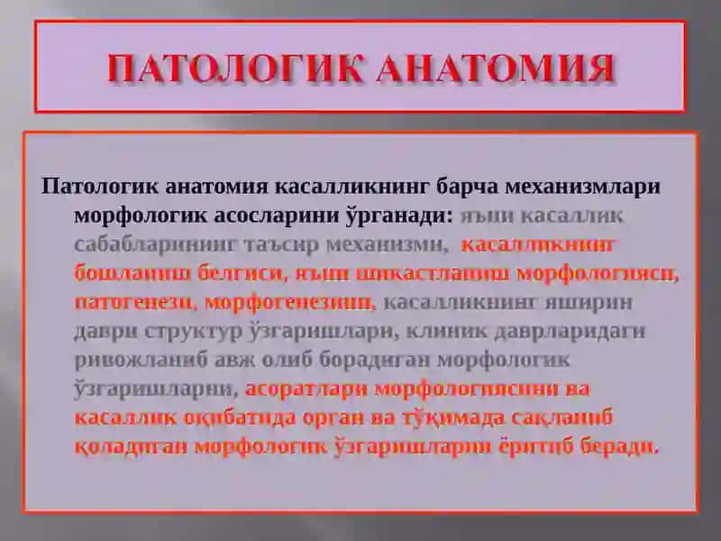 Патологик анатомия 3