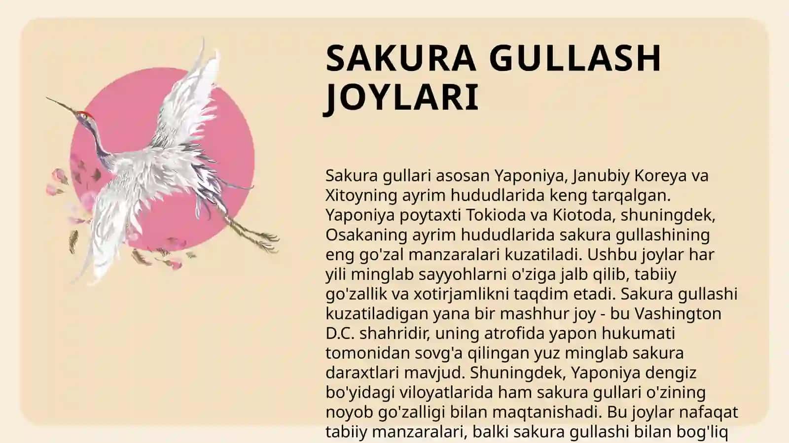 SAKURA GULLASH MAVSUMI 3