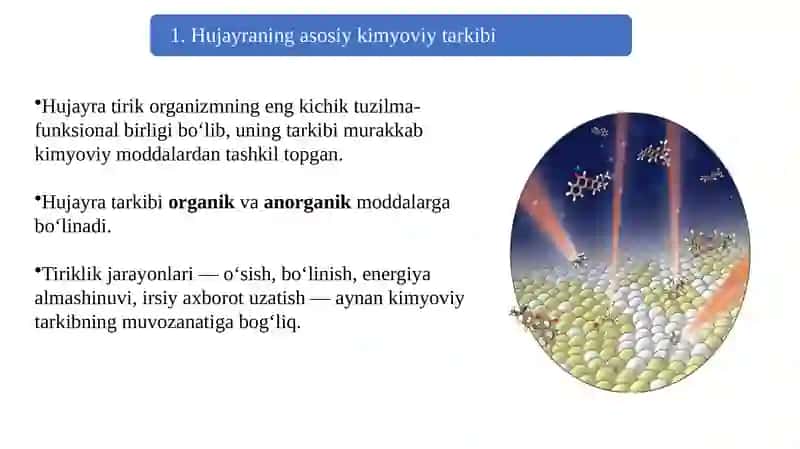 O'simliklar fiziologiyasi ppt 3
