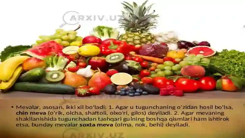 Mevalar To‘g‘risida malumotlar 3