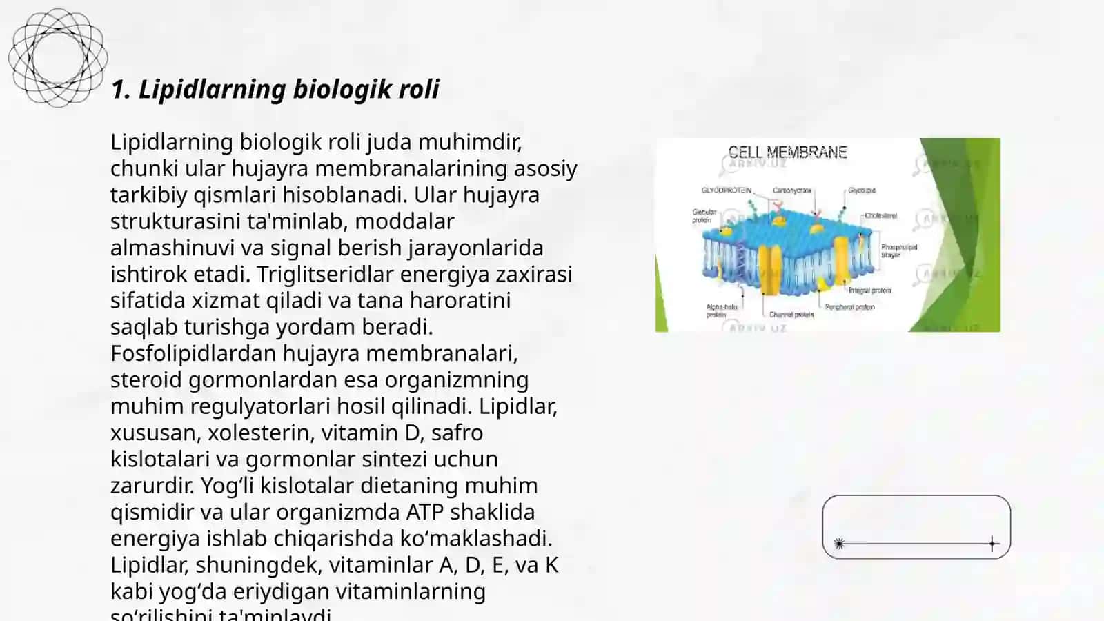 Lipidlar 3