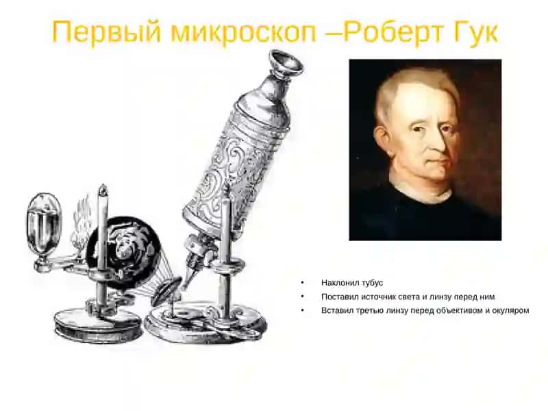 Электронная микроскопия в медицине 3