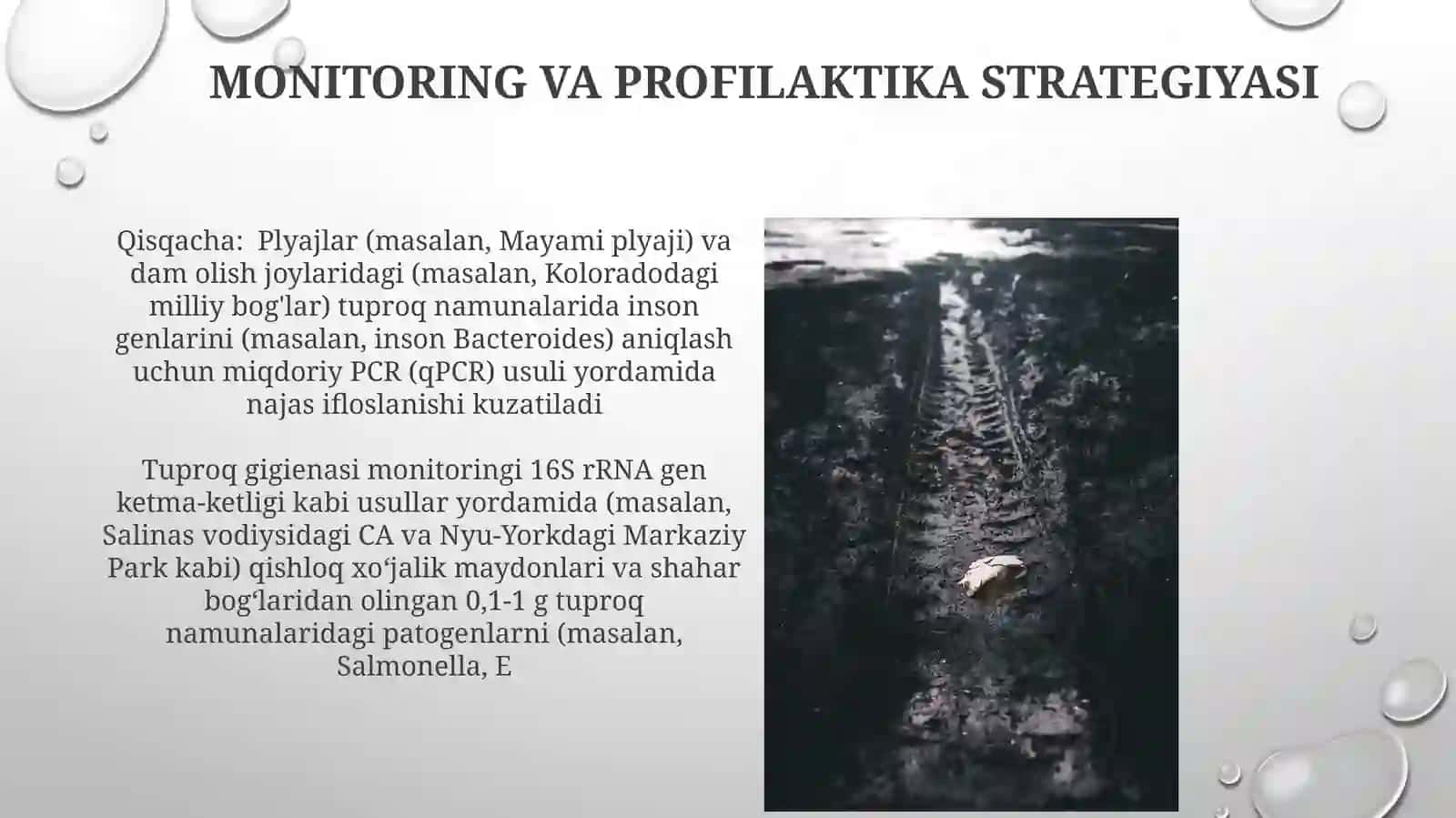 Tuproq gigiyenasi 3