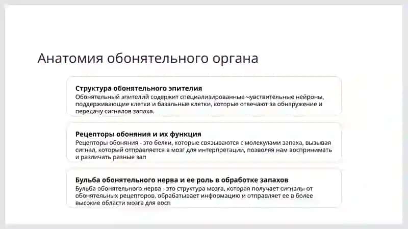 обонятельный орган 3
