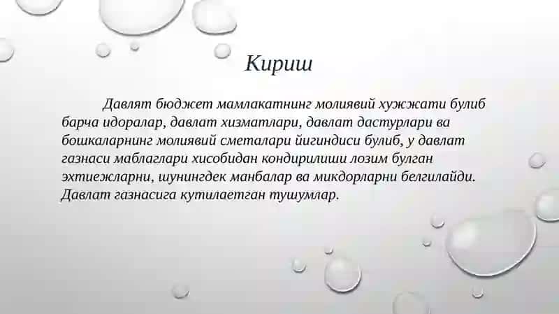Davlat budjeti mavzusida taqdimot 3