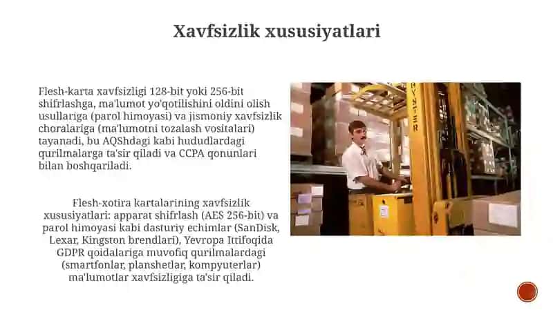 Flesh-karta Xavfsizligi 3