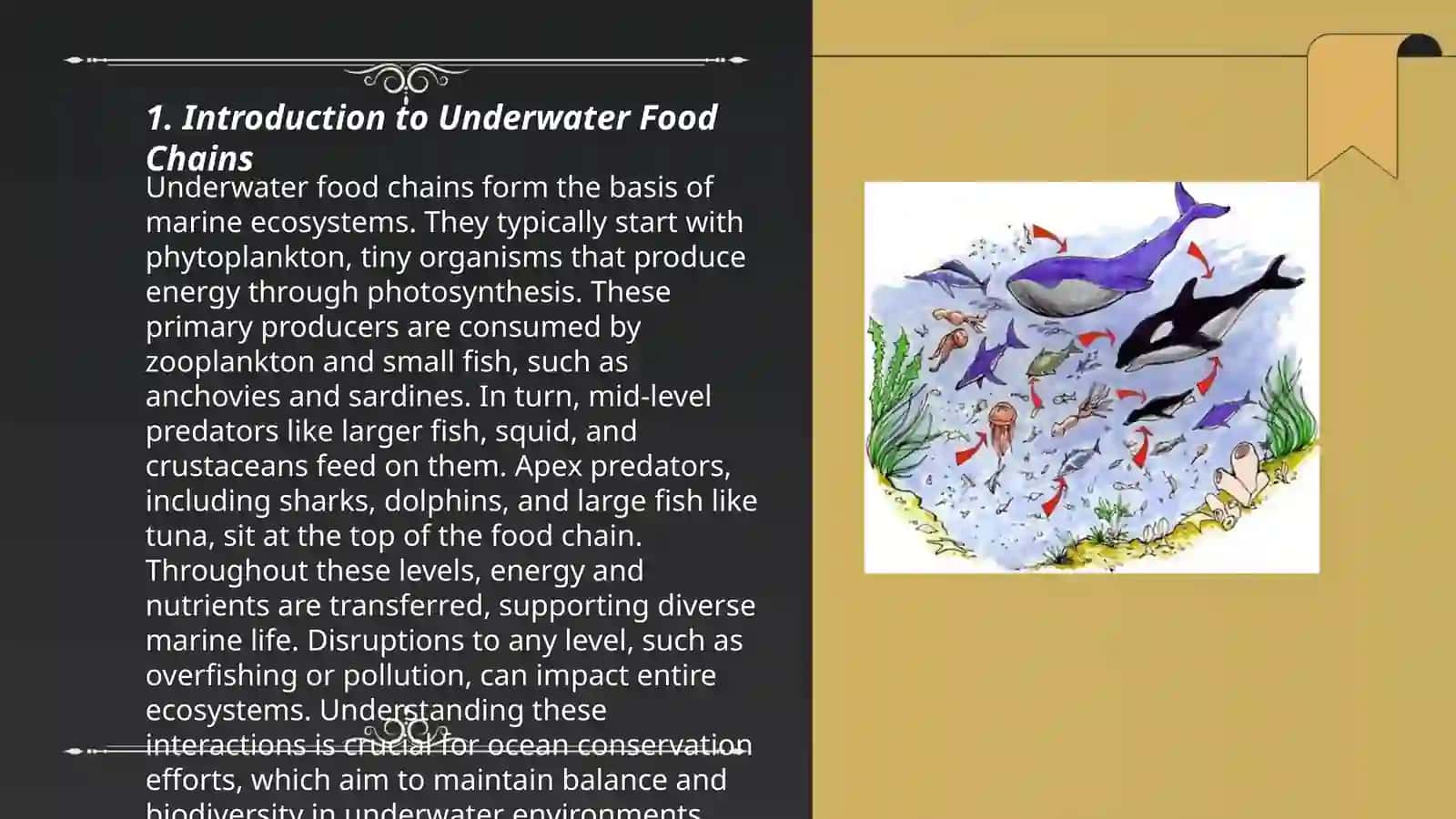 An Underwater Food Chain 3