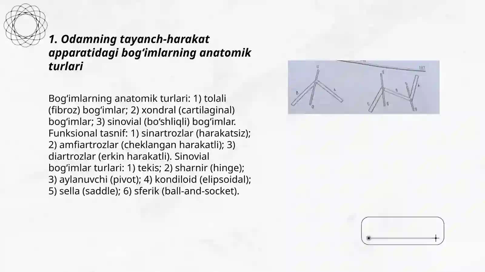 Odamning tayanch harakat in dagi apparati dagi bogimlar va richak 3
