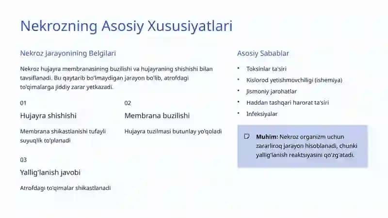 Apoptoz va Nekroz: Hujayra O'limining Ikki Yo'li 3