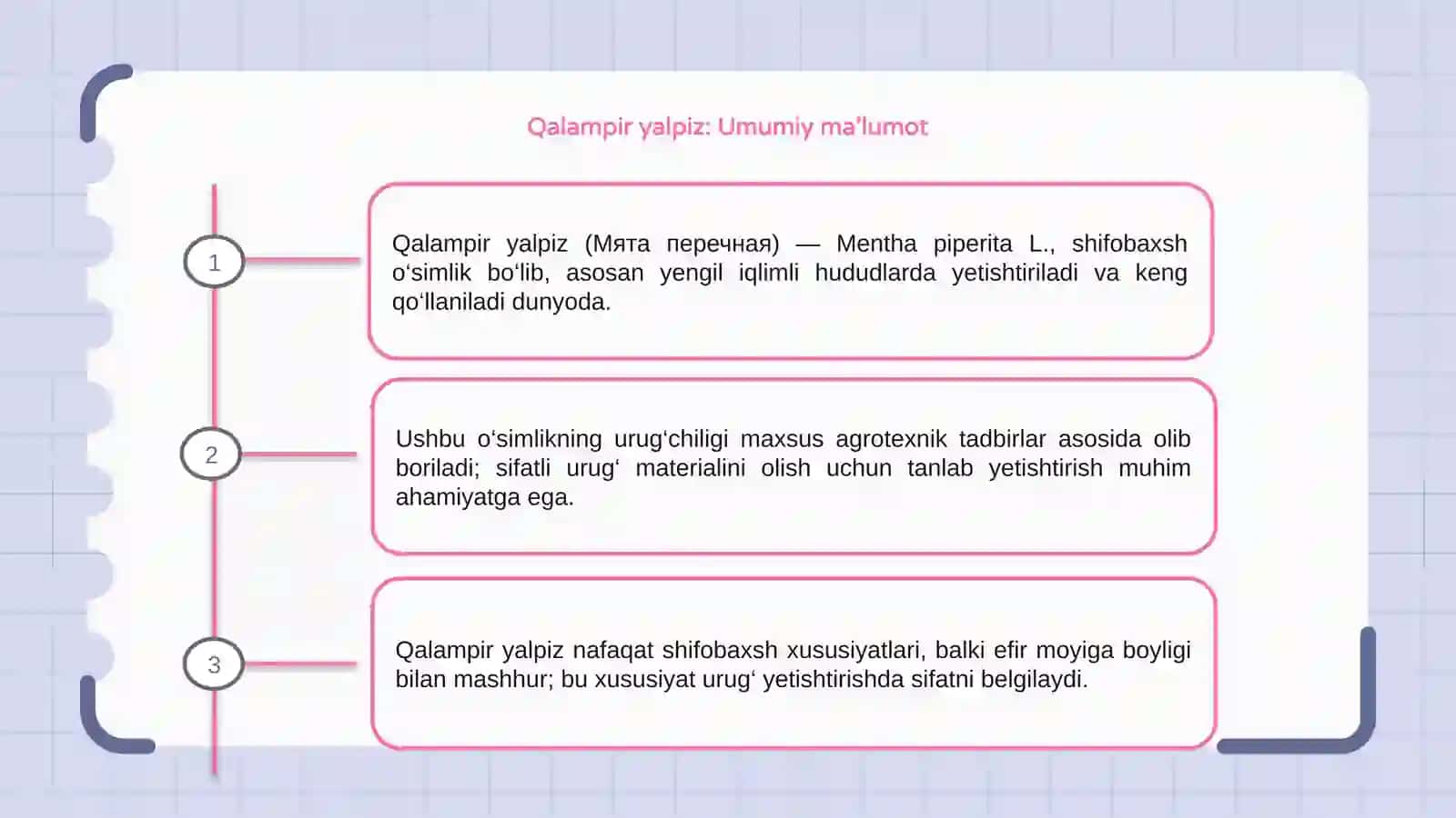 Qalampir yalpiz (Мята перечная) 3