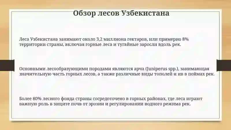 Обзор лесов Узбекистана 3