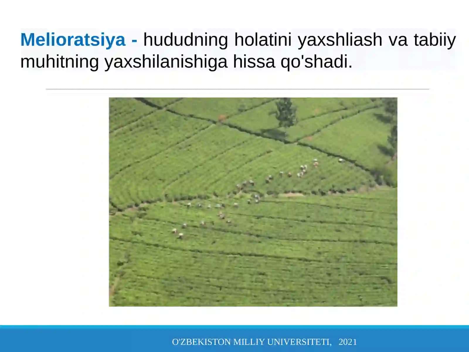 O'simliklar oziqlanish va o'g'itlar (Agrokimyo) 3