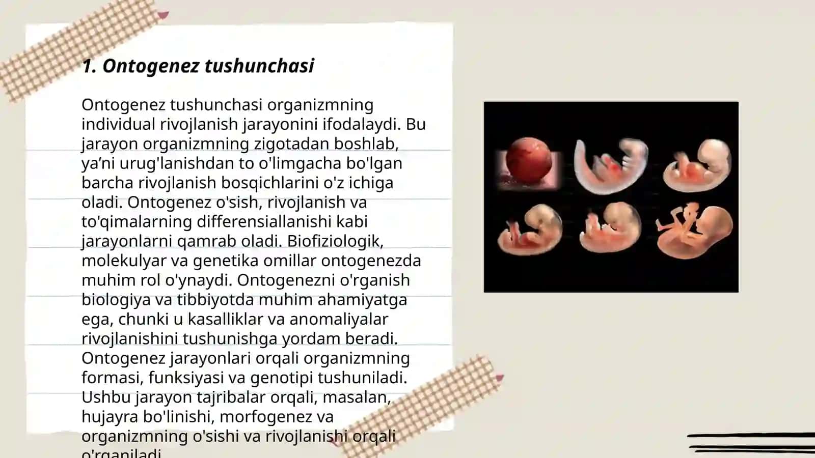 Ontogenez va biogenetik qonun 3