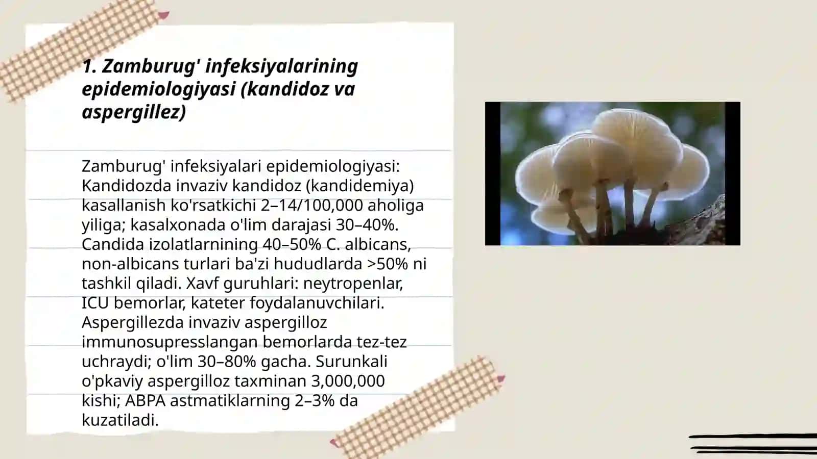 Zamburug' infeksiyalari (kandidoz, aspergillez) 3
