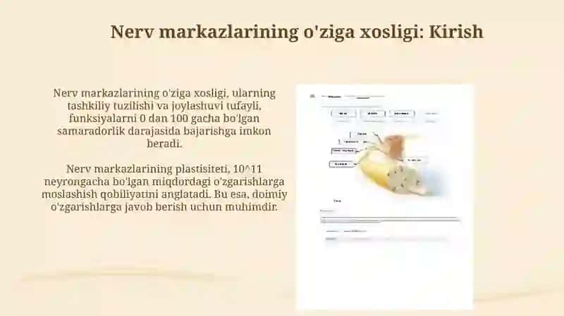 Nerv markazlarining o'ziga xosligi 3