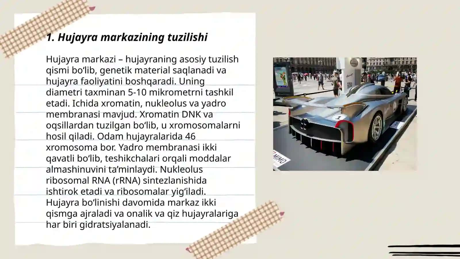 Hujayra markazi 3