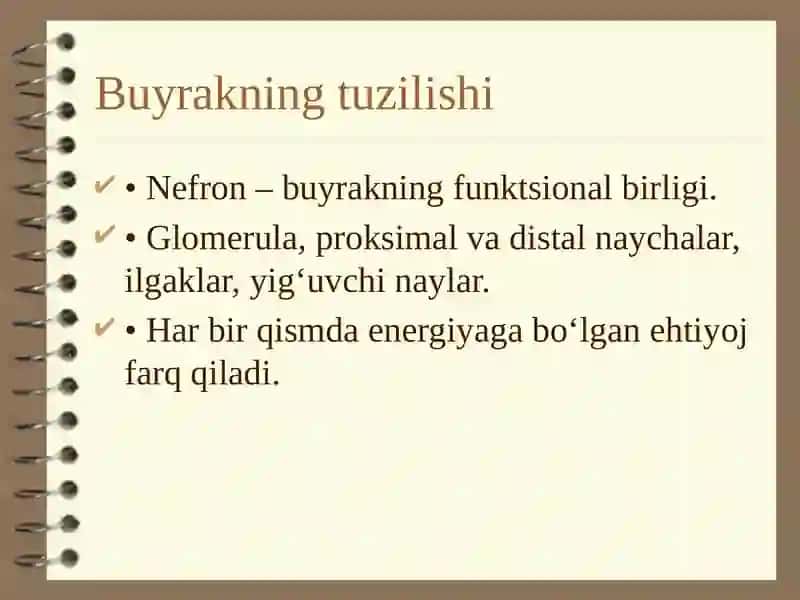 Buyrakni energiya bilan taʼminlanishi 3