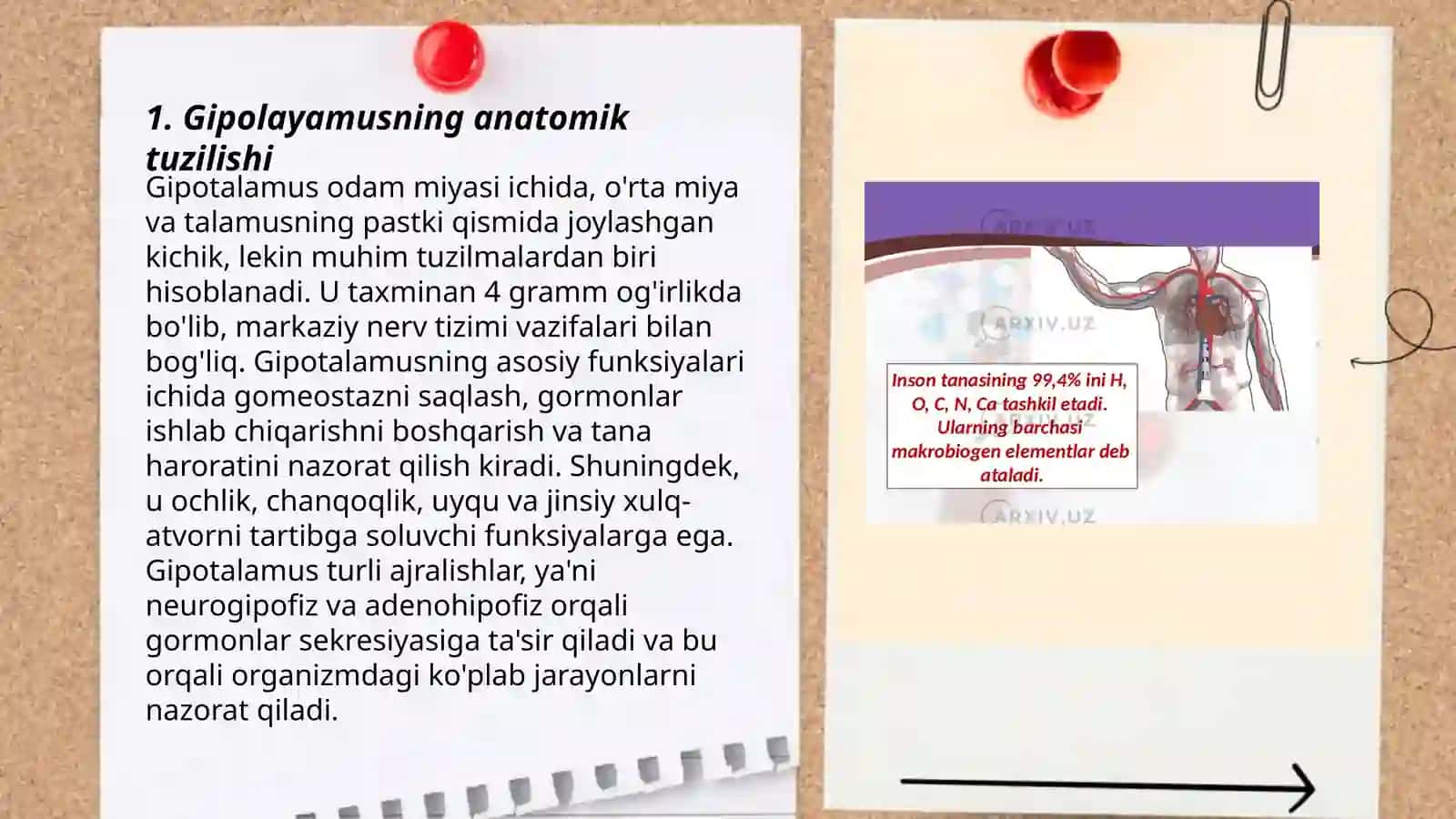 Gipolayamus oʻzaklari va ularning klinik ahamiyati 3