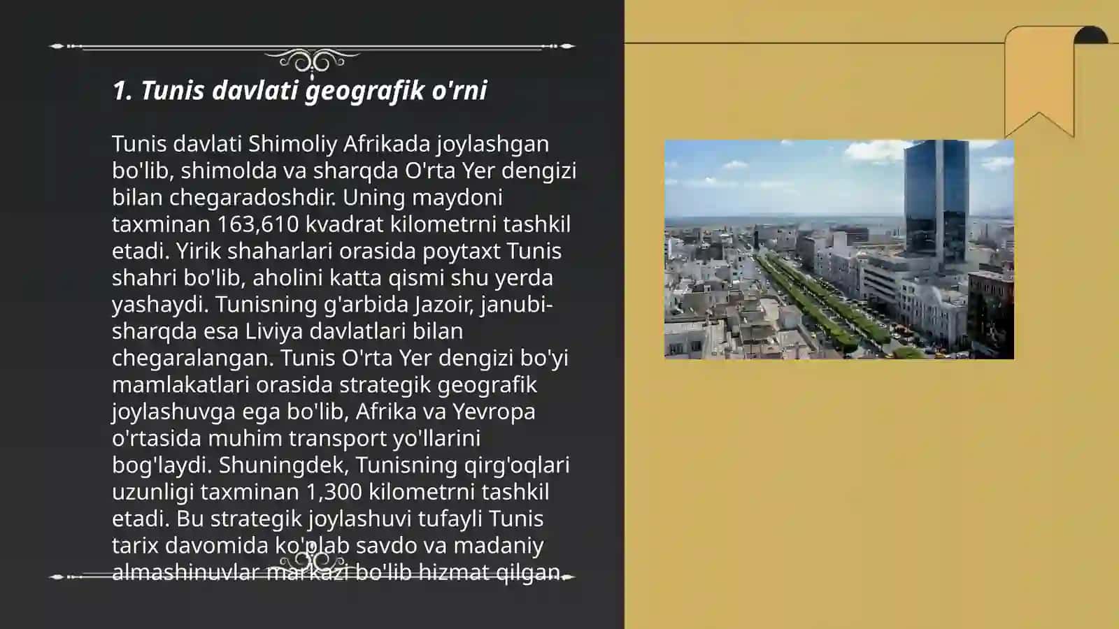 Tunis davlati geografik o'rni 3
