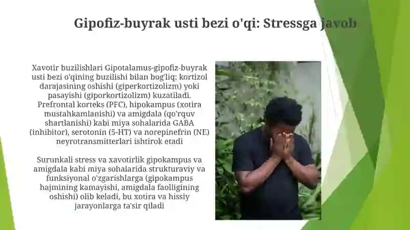 Xotiraning neyrofiziologik asoslari 3