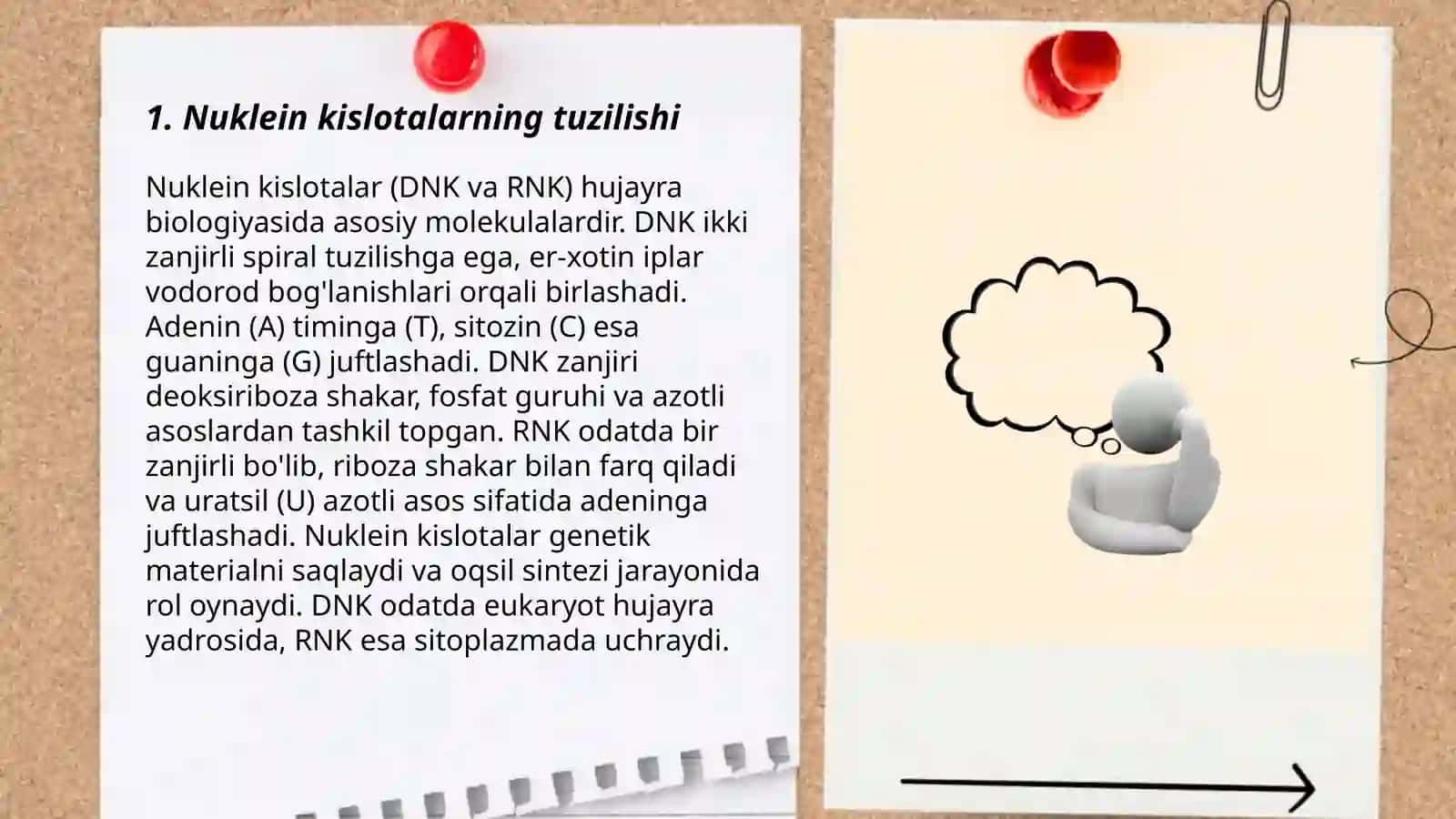 Tiriklikning molekulyar asoslari 3