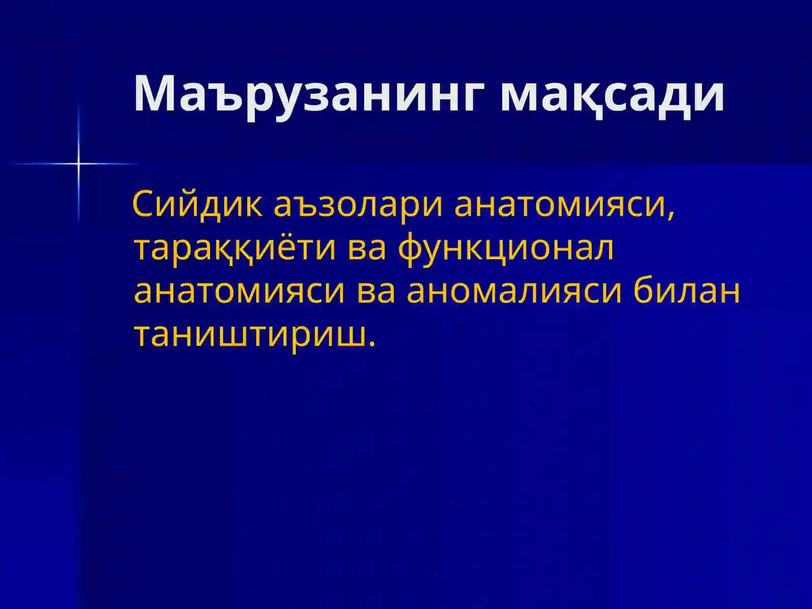 Сийдик чиқарув аъзоларининг анатомияси 3