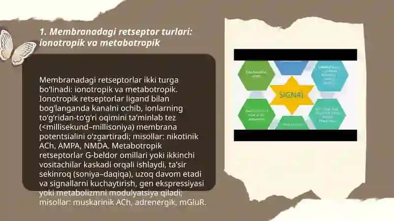 Membranadagi retseptorlar 3