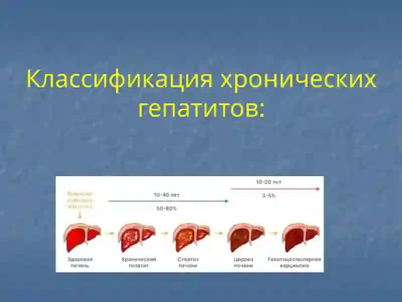 Хронические гепатиты 3