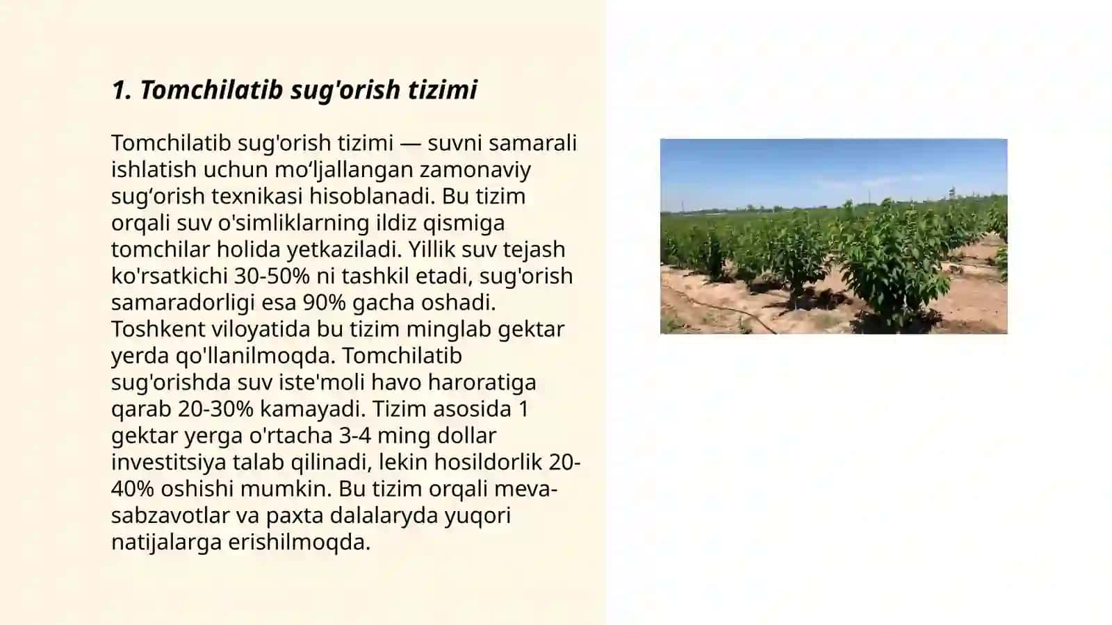 Tomchilatib sug'orish tizimi 3