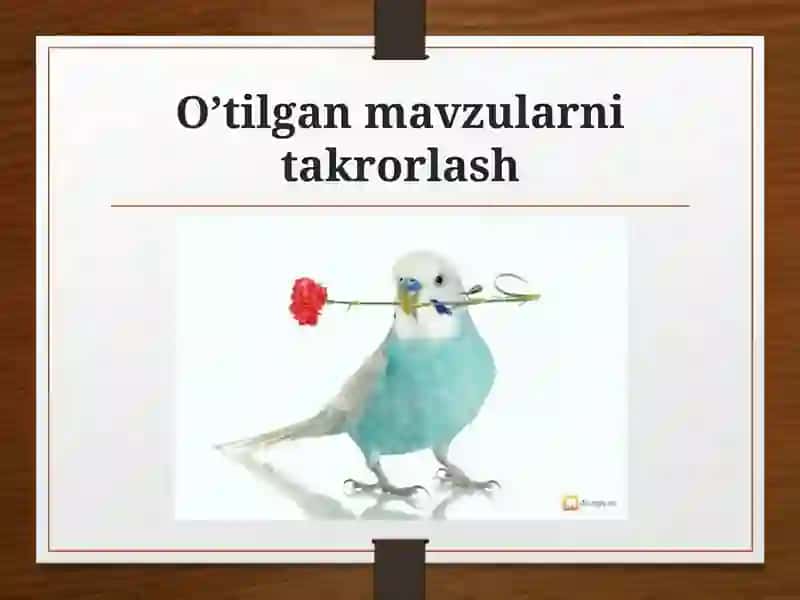 Odam genetikasini o’rganish usullari 3