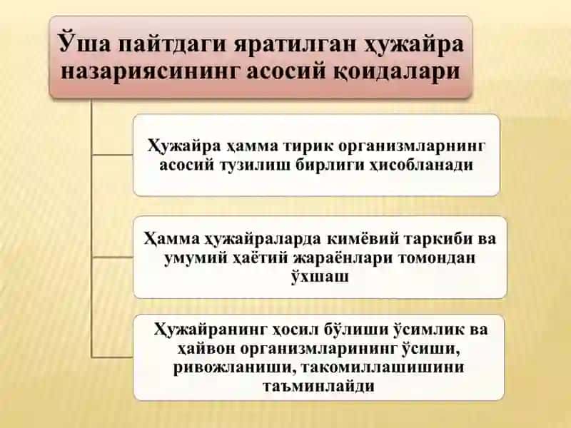 Ҳуҷайра биологиясини ўрганиш 3