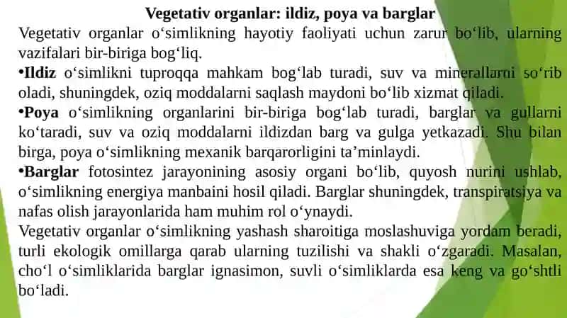 O‘simliklarning vegetativ va generativ organlari 3