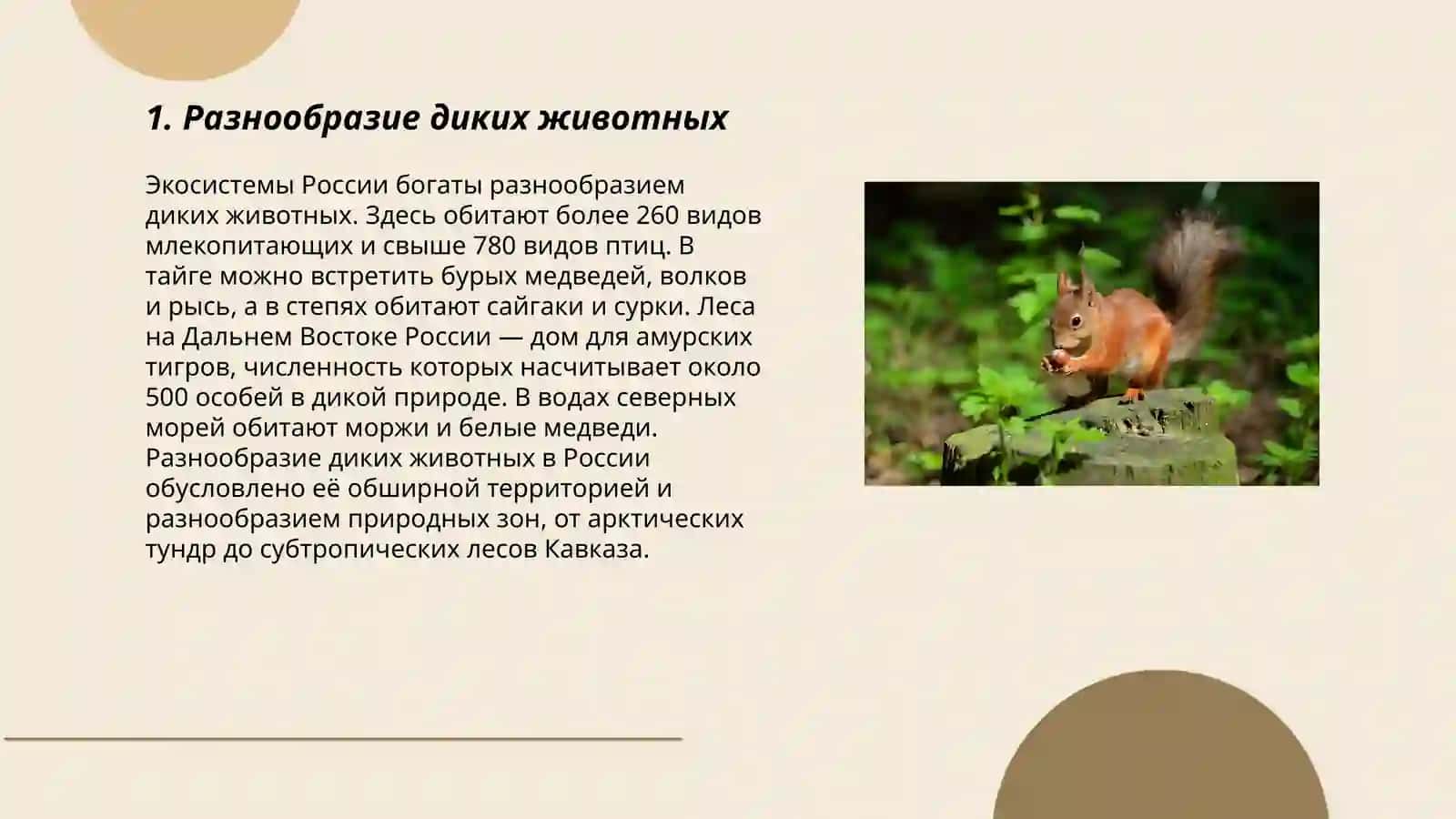 Дикие животные 3