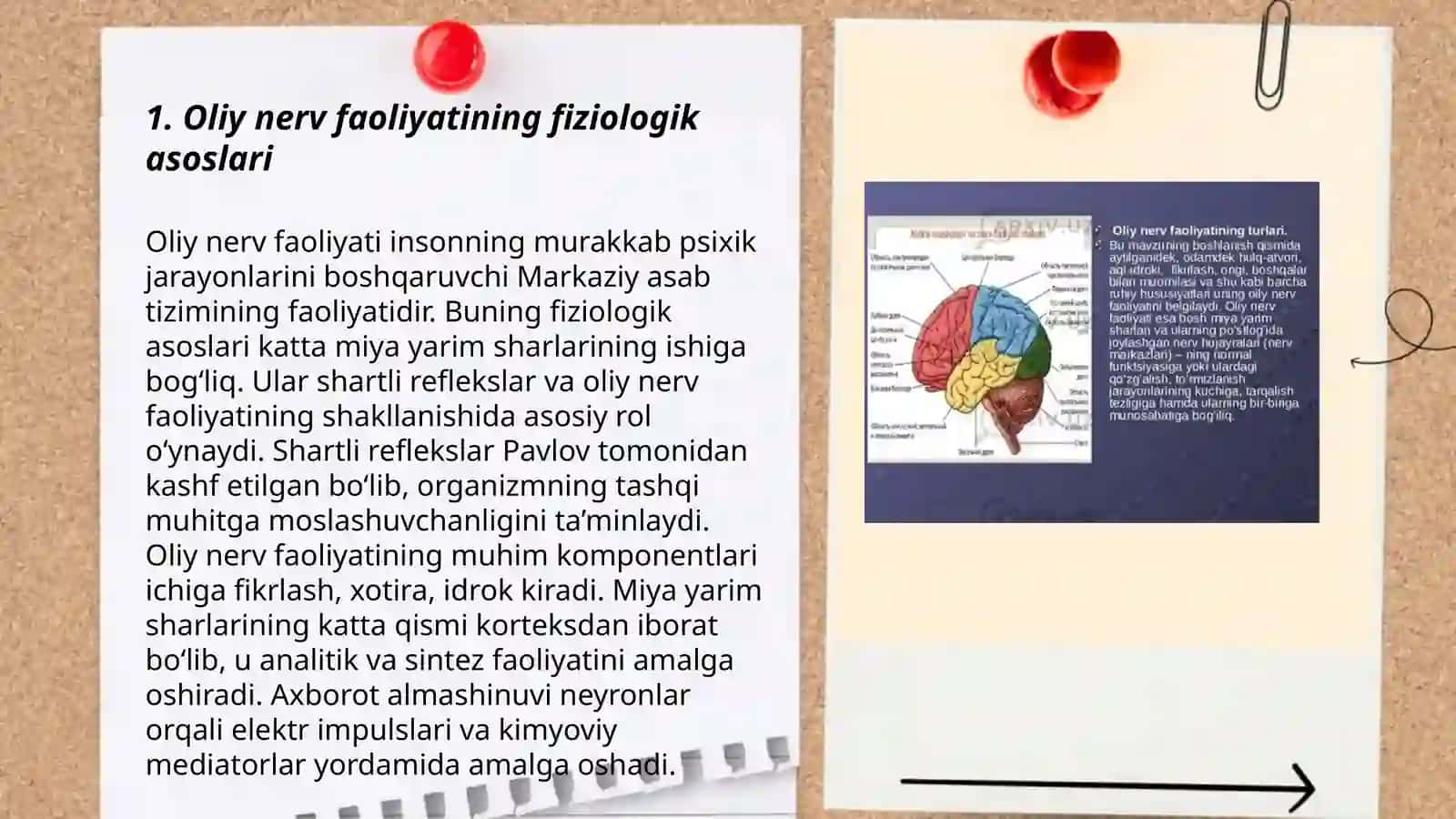 Oliy nerv faoliyati tiplarini o‘rganish 3