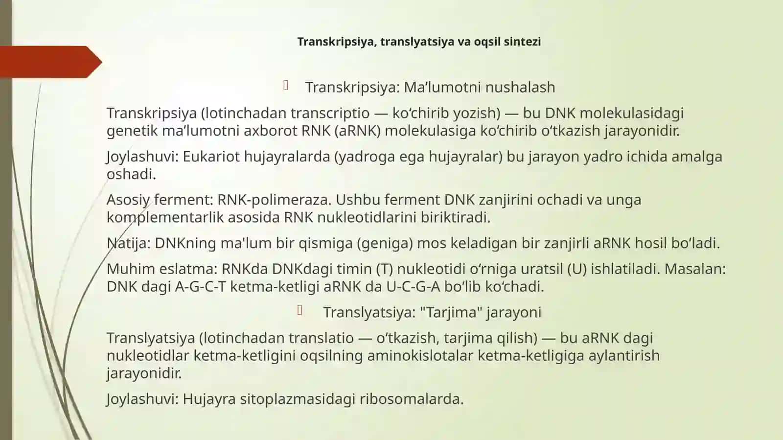 Transkripsiya Translyatsiya va oqsil sintezi 3