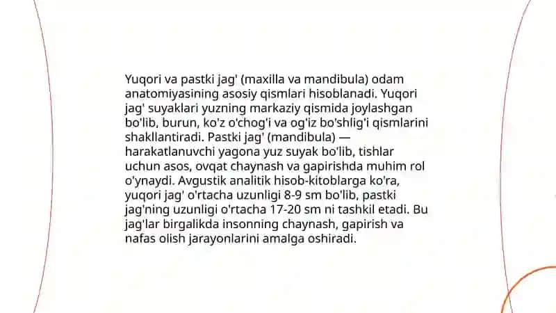 Yuqori va pastki jag' anatomiyasi 3